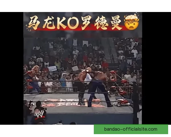 历史传奇再续 Shams：罗德曼跨界入选WWE名人堂篮球荣誉双辉煌