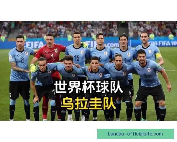 2026年世界杯参赛球队大揭秘：强队崛起与新兴力量的激烈碰撞